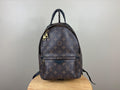 Authentic Louis Vuitton Monogram Palm Springs PM Backpack