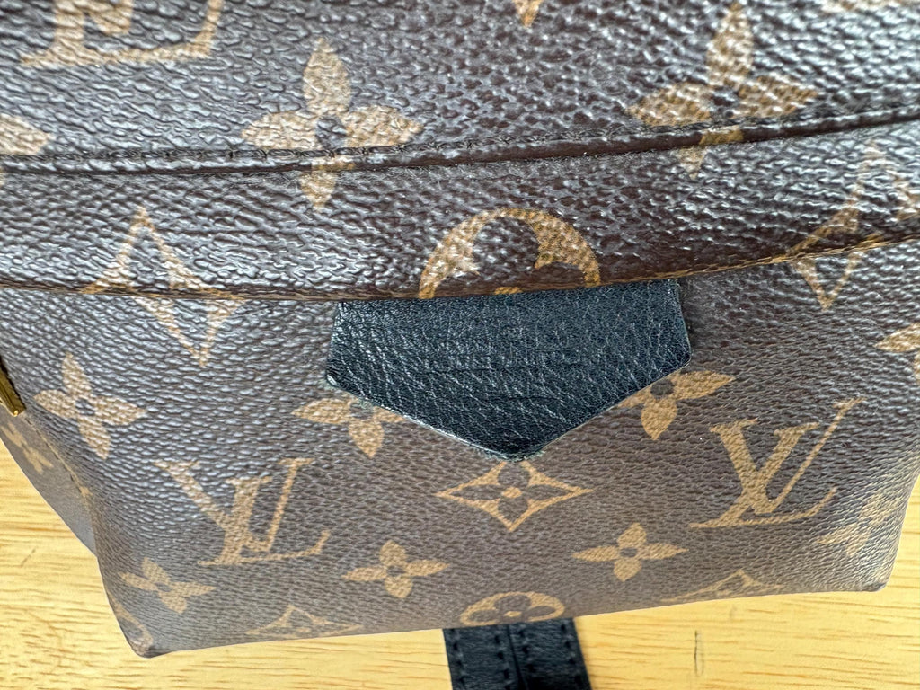 Authentic Louis Vuitton Monogram Palm Springs PM Backpack